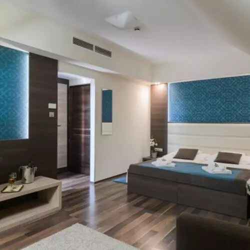 ホテル Villa Völgy Wellness & Konferencia