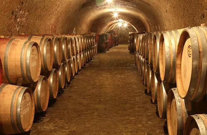 ホテル Villa Völgy Wellness & Konferencia