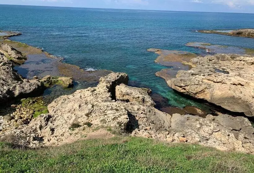 בית מלון כפרי Beit Maimon