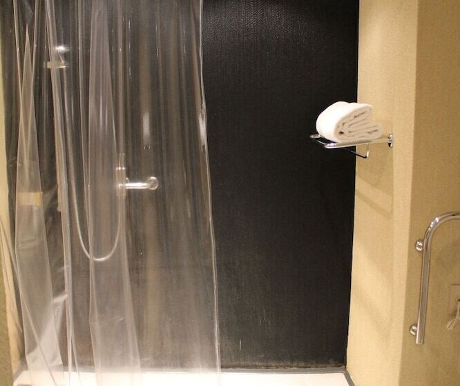 هتل Sheraton Sao Paulo Wtc