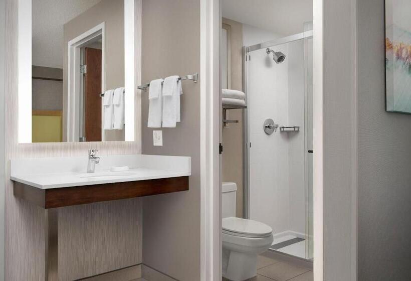 Otel Springhill Suites By Marriott Boise Parkcenter