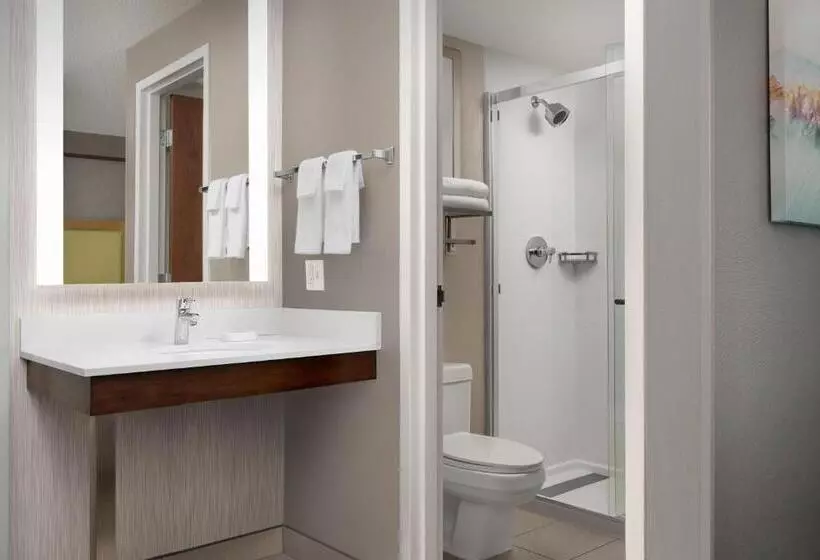 בית מלון כפרי Springhill Suites By Marriott Boise Parkcenter