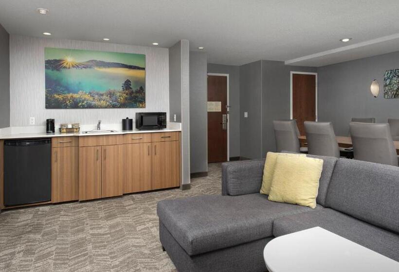 Otel Springhill Suites By Marriott Boise Parkcenter