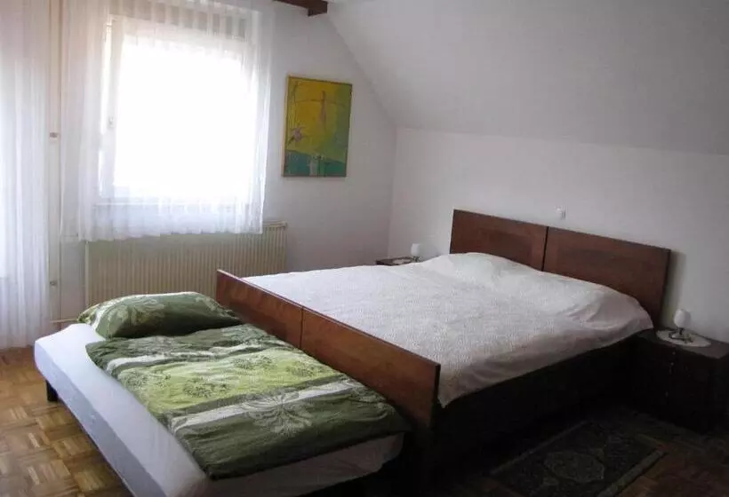 پانسیون Guesthouse Zorko Gostilna Domen
