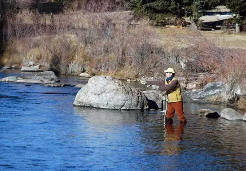 فندق Courtyard Sacramento Airport Natomas