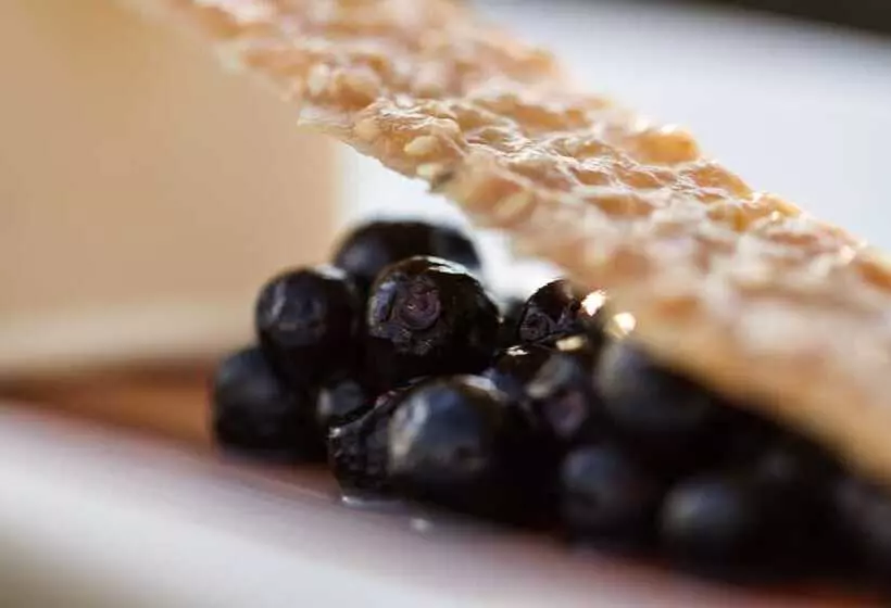 Falk Seehotel Plau Am See