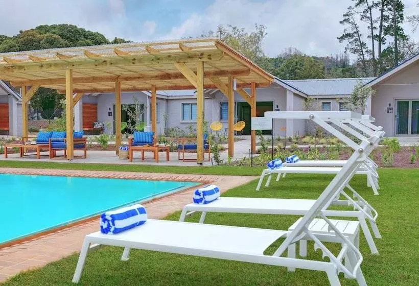 ホテル Knysna Hollow Country Estate