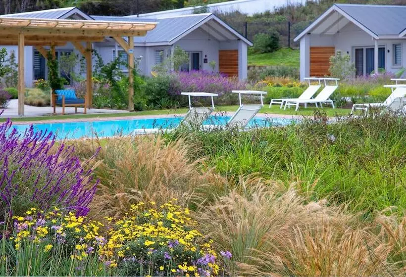 ホテル Knysna Hollow Country Estate