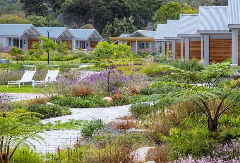 ホテル Knysna Hollow Country Estate