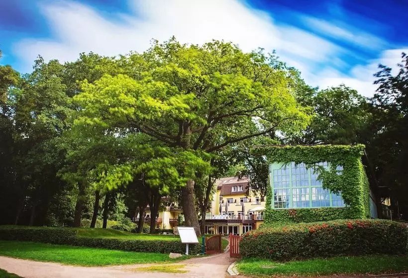 호텔 Kurhaus Am Inselsee