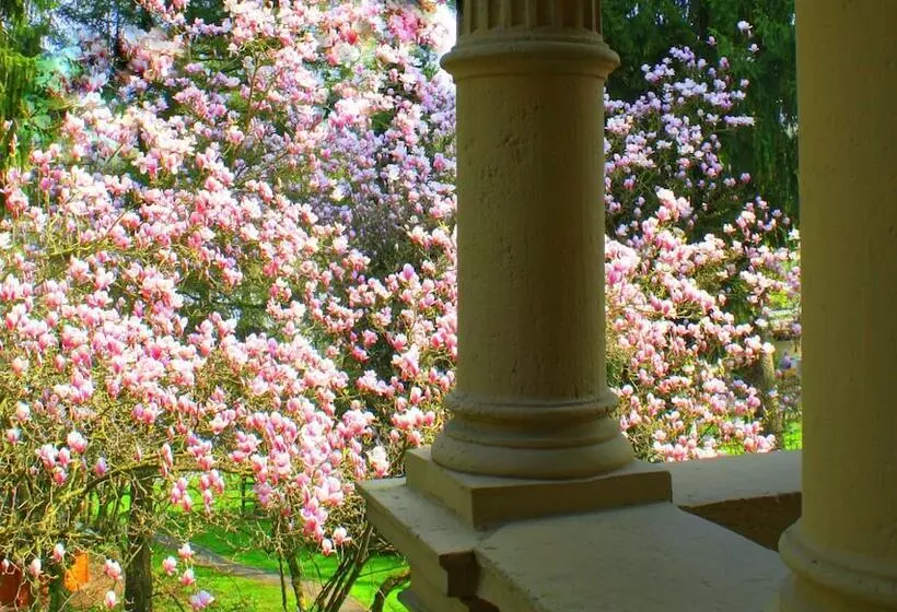 ホテル Villa Hammerschmiede