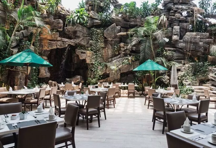 ホテル Clarion Suites Guatemala