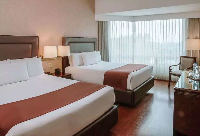 ホテル Clarion Suites Guatemala