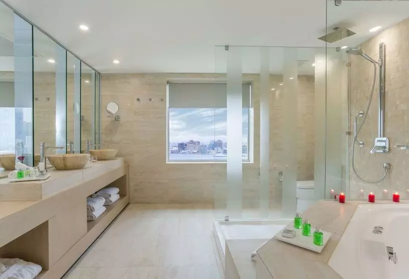 酒店 NH Collection Plaza Santiago