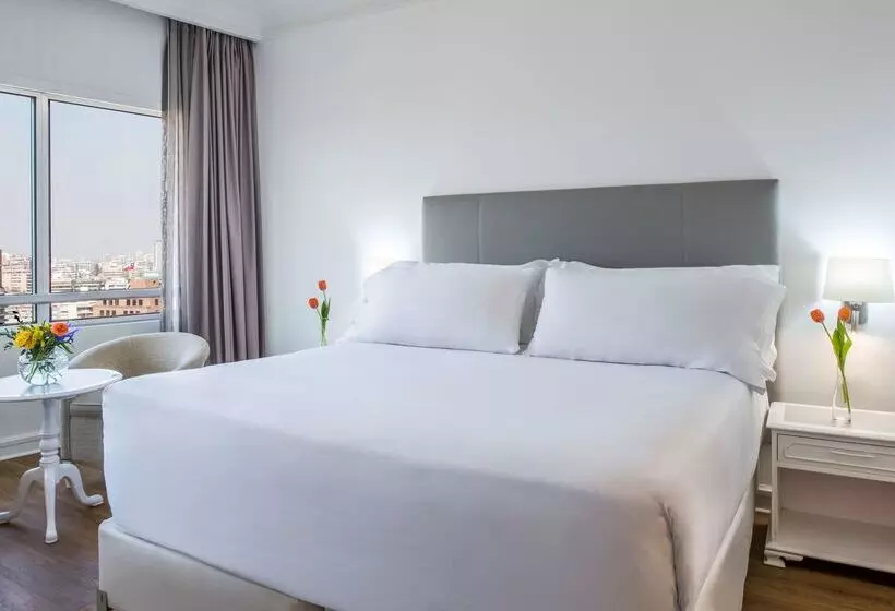 酒店 NH Collection Plaza Santiago