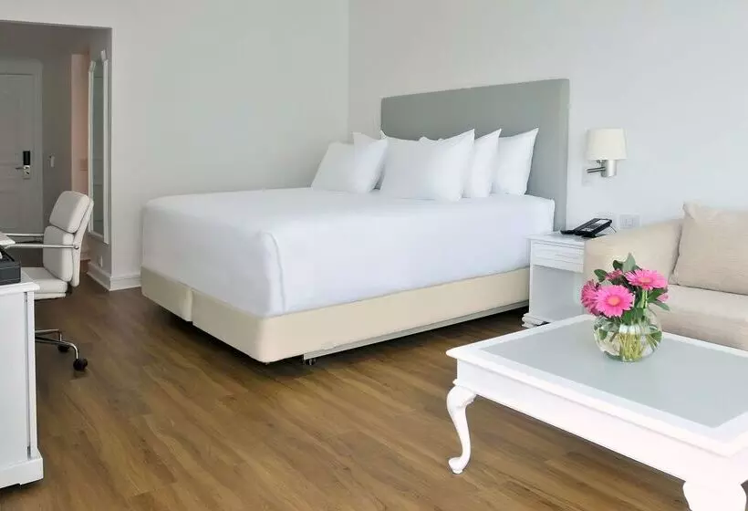 酒店 NH Collection Plaza Santiago