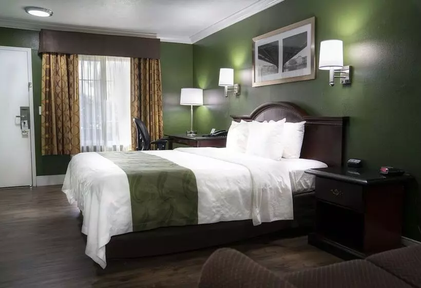 בית מלון כפרי Quality Inn Hemet  San Jacinto