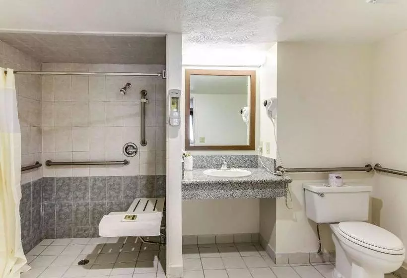 Отель Rodeway Inn