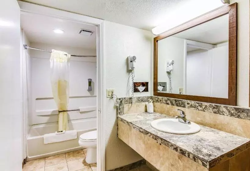 Отель Rodeway Inn