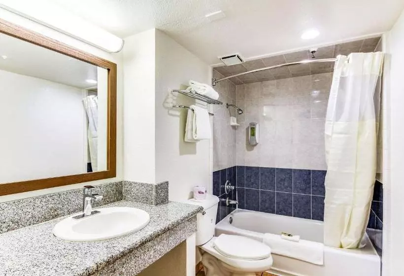 Отель Rodeway Inn