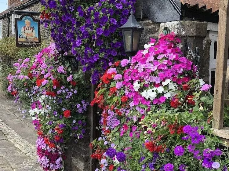 فندق The Carpenters Arms