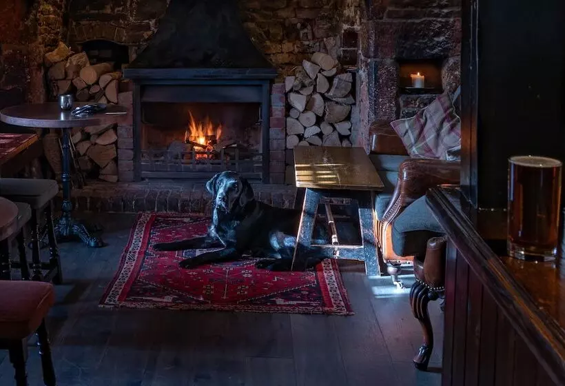 فندق The Carpenters Arms