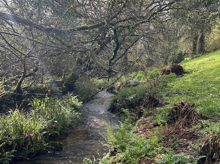 호텔 Trengilly Wartha Inn