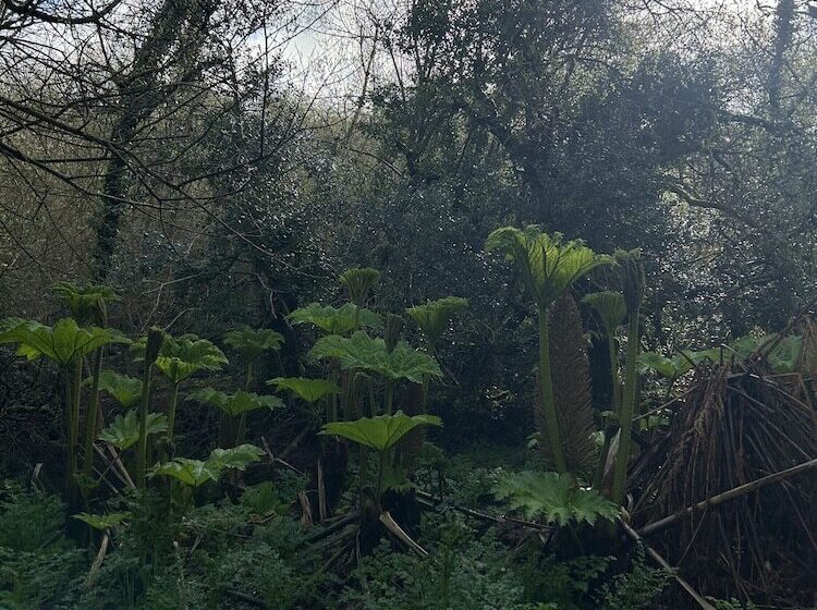 호텔 Trengilly Wartha Inn