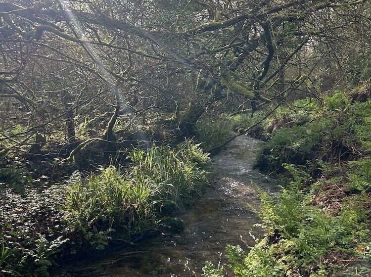 호텔 Trengilly Wartha Inn