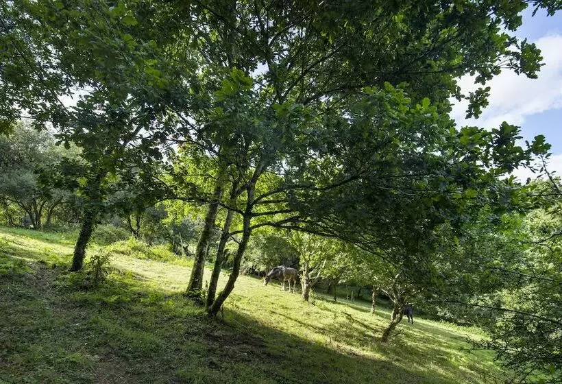 酒店 Trengilly Wartha Inn