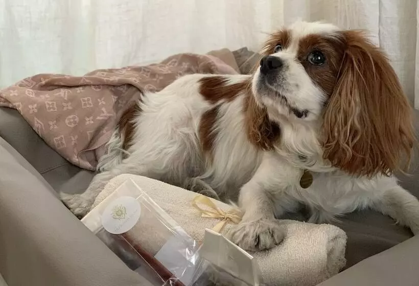 호텔 Ulfsunda Slott