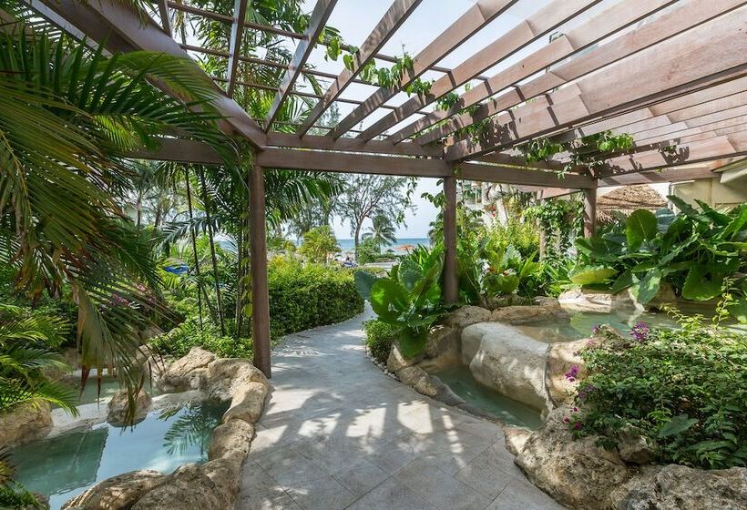 استراحتگاه Bougainvillea Barbados