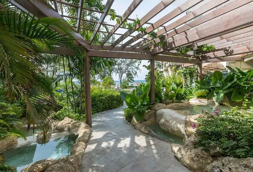 استراحتگاه Bougainvillea Barbados