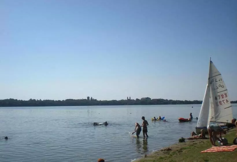 酒店 Parti Panzió