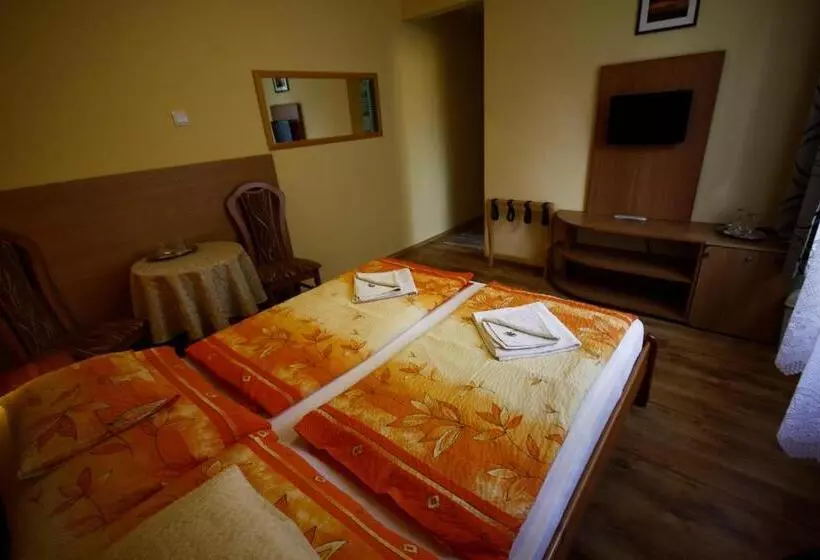 酒店 Parti Panzió