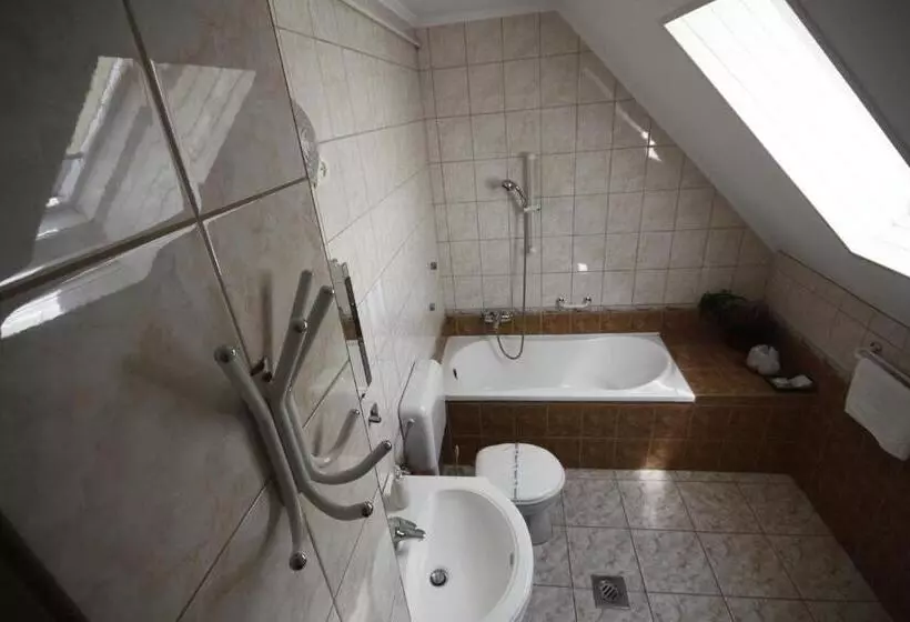 酒店 Parti Panzió