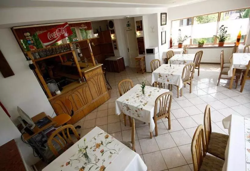 酒店 Parti Panzió