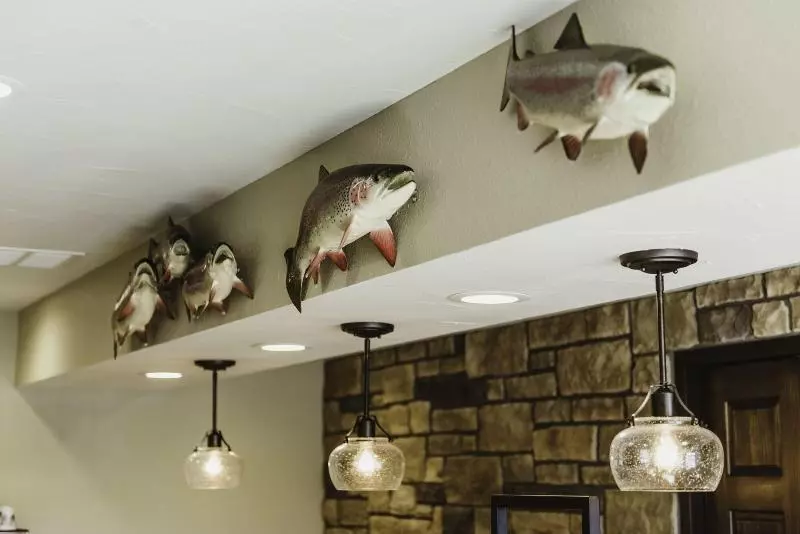 Хостел Bass Pro Shops Angler S Lodge