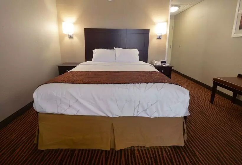 Best Western Executive Hotel New Haven West Haven