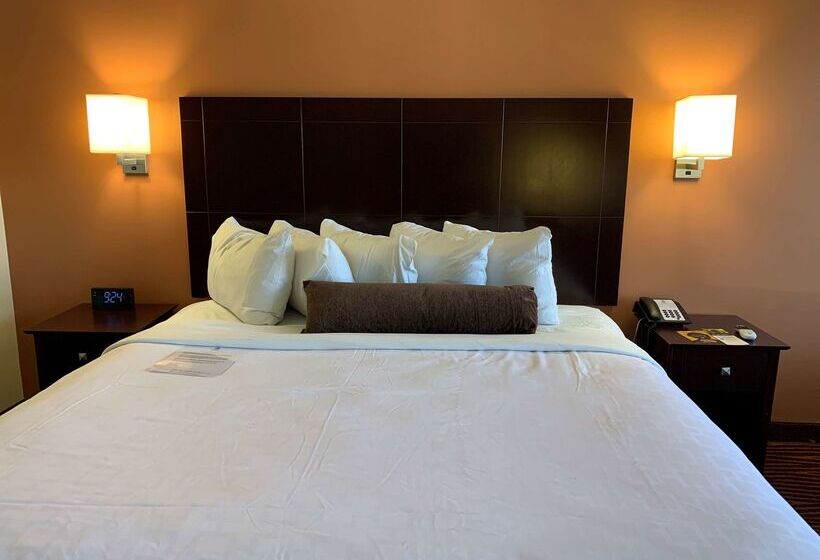 Best Western Executive Hotel New Haven West Haven