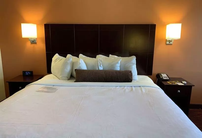 Best Western Executive Hotel New Haven West Haven