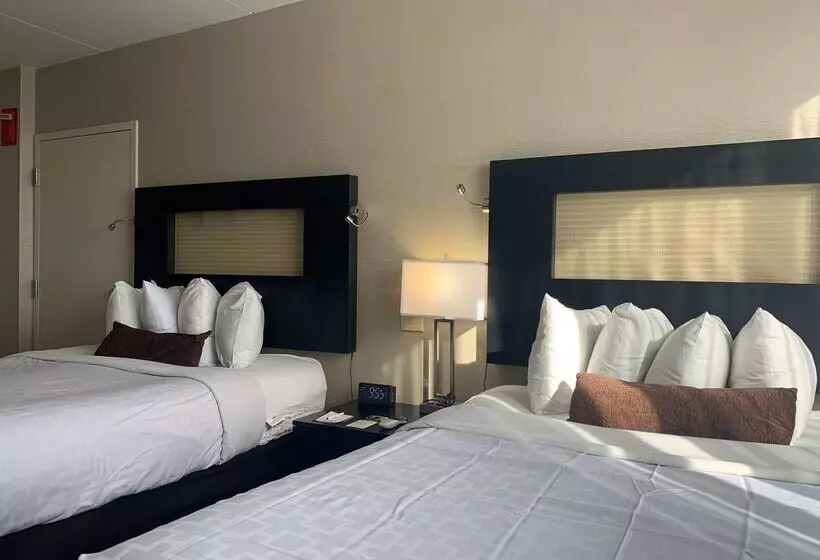 Best Western Executive Hotel New Haven West Haven