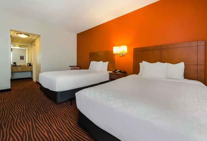 Best Western Executive Hotel New Haven West Haven