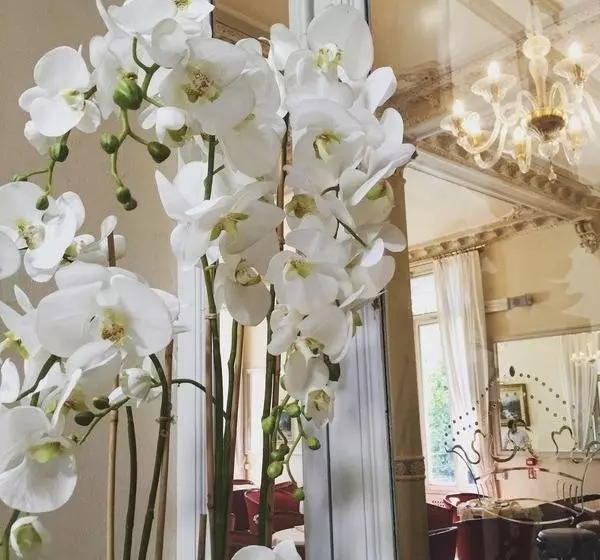 Grand Hotel Imperiale & Resort