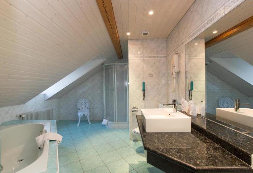 هتل Landhaus Säntis Herisau