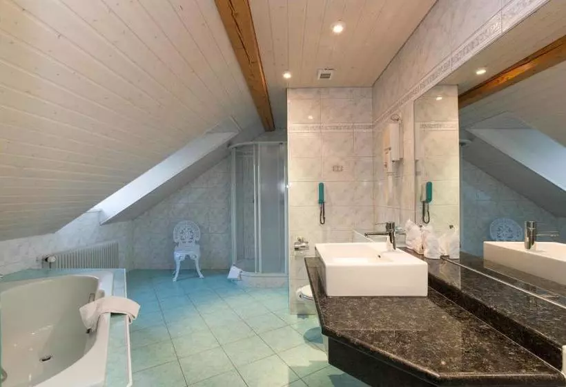 Отель Landhaus Säntis Herisau