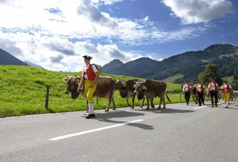 Отель Landhaus Säntis Herisau