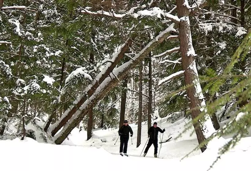 Отель Pictured Rocks Inn And Suites