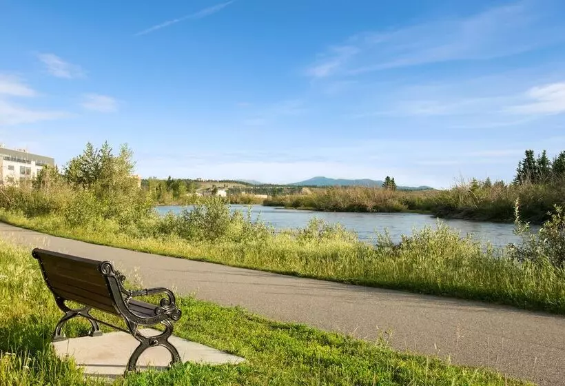 ホテル Quality Inn & Suites