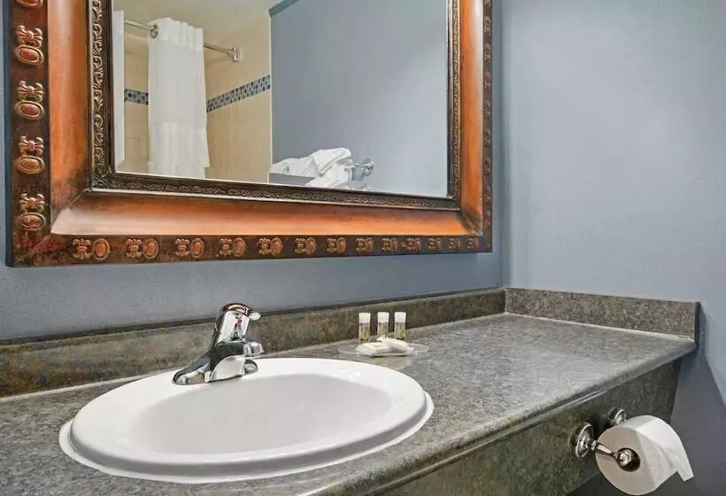 ホテル Quality Inn & Suites